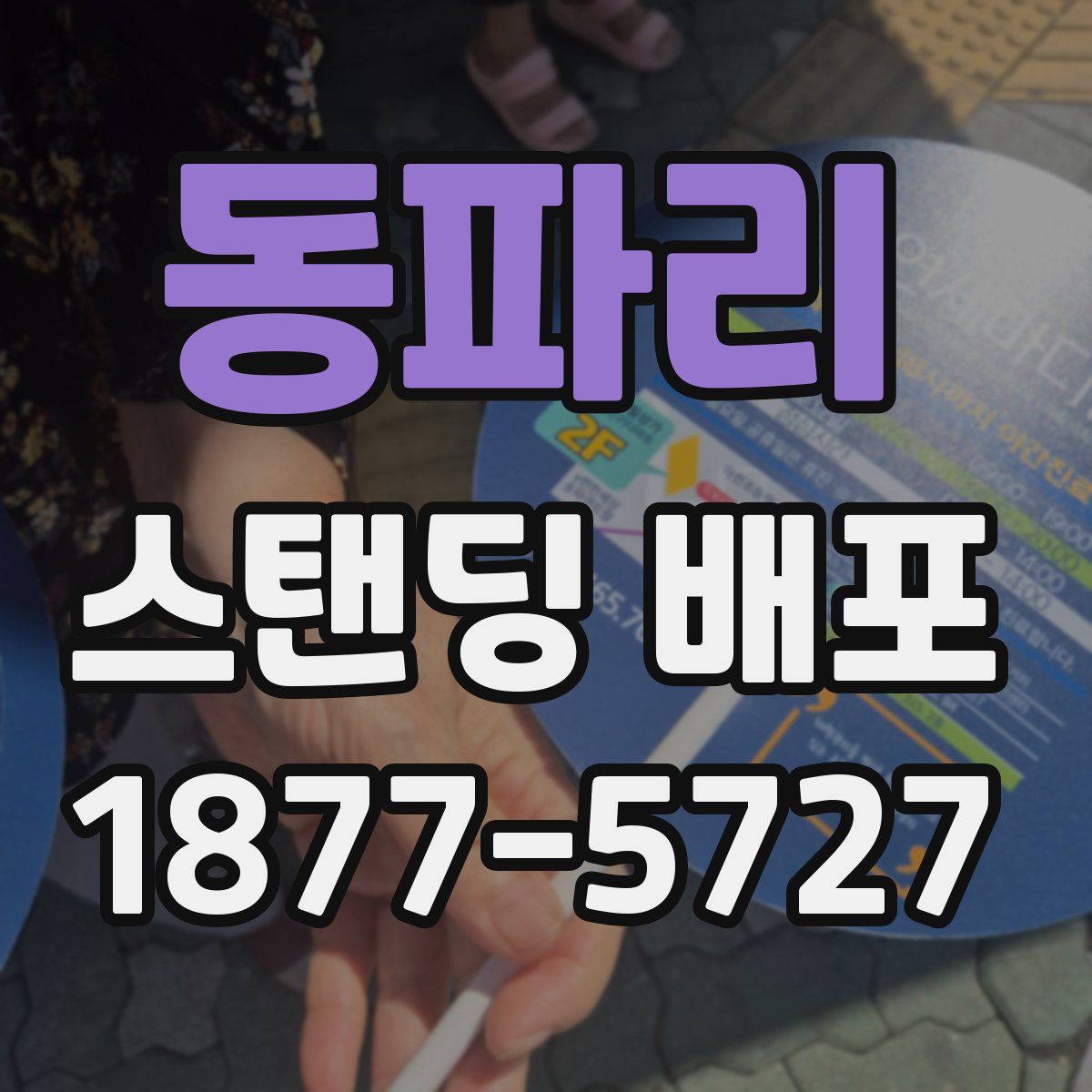 동파리 스탠딩 배포