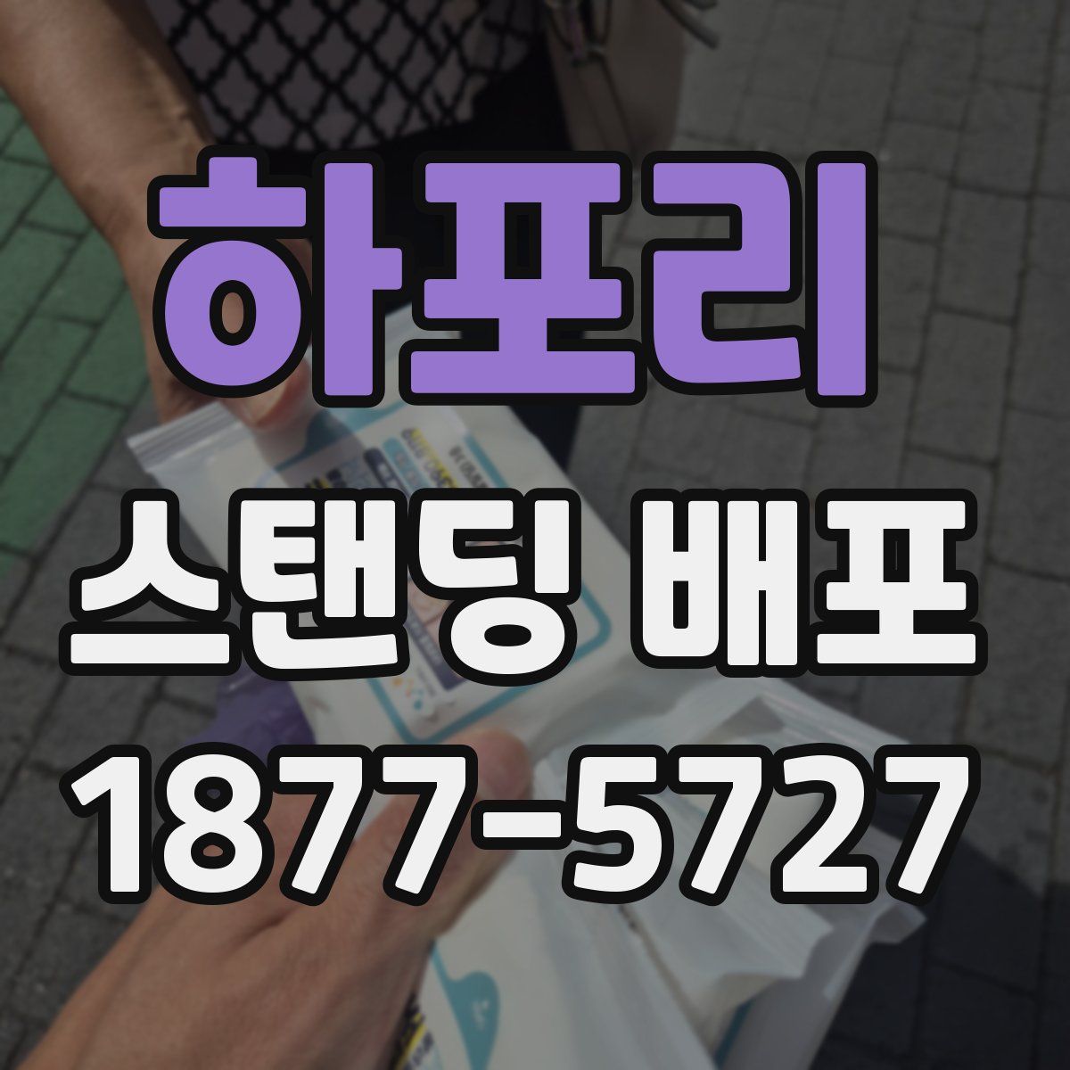 하포리 스탠딩 배포