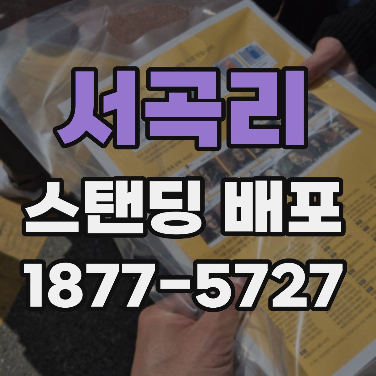 서곡리 스탠딩 배포