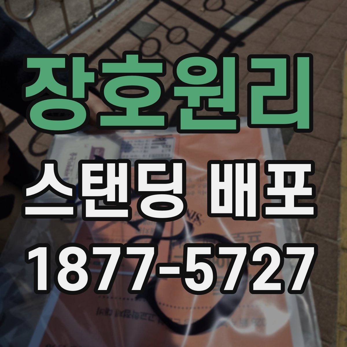 장호원리 스탠딩 배포