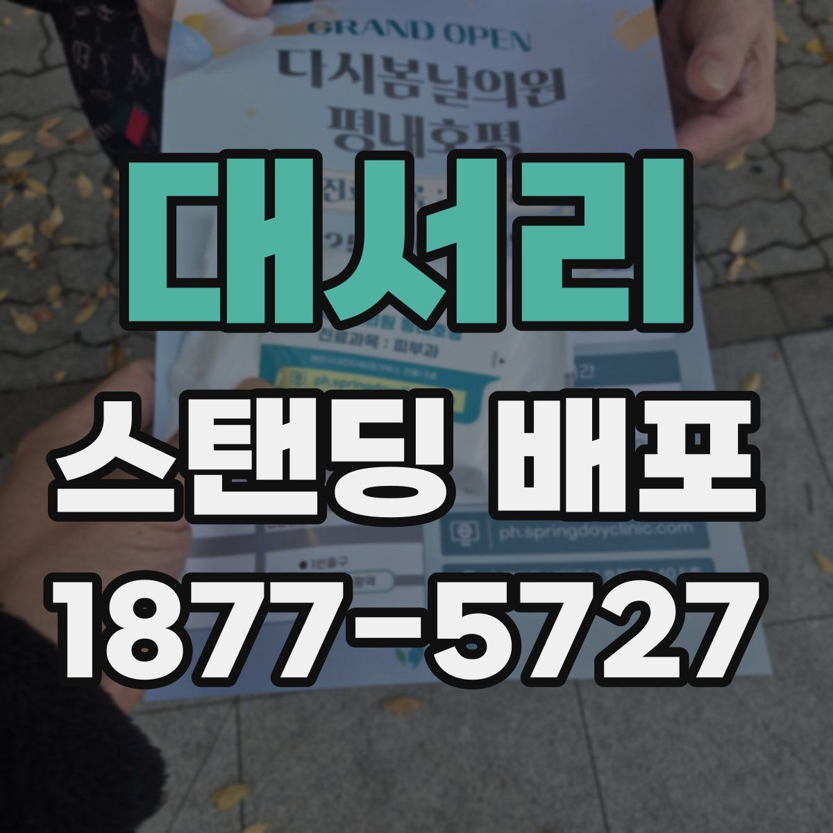 대서리 스탠딩 배포