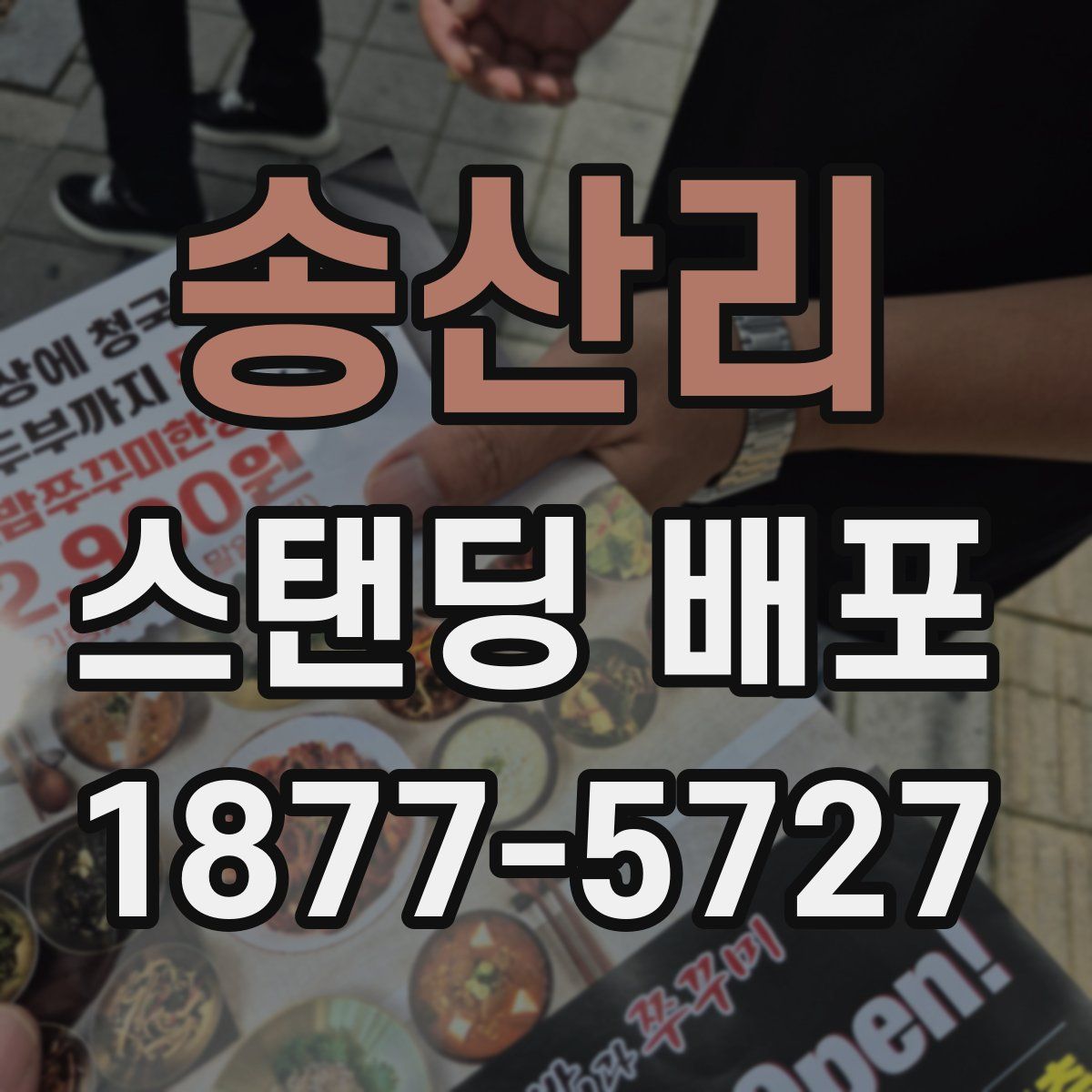 송산리 스탠딩 배포