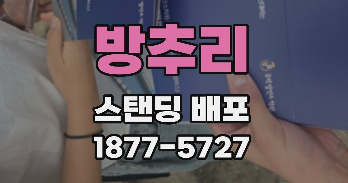 방추리 스탠딩 배포