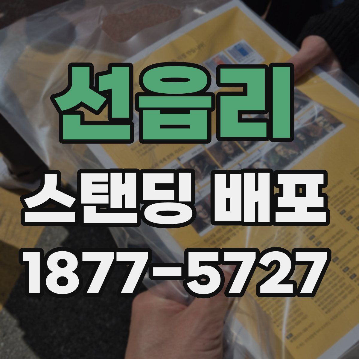 선읍리 스탠딩 배포