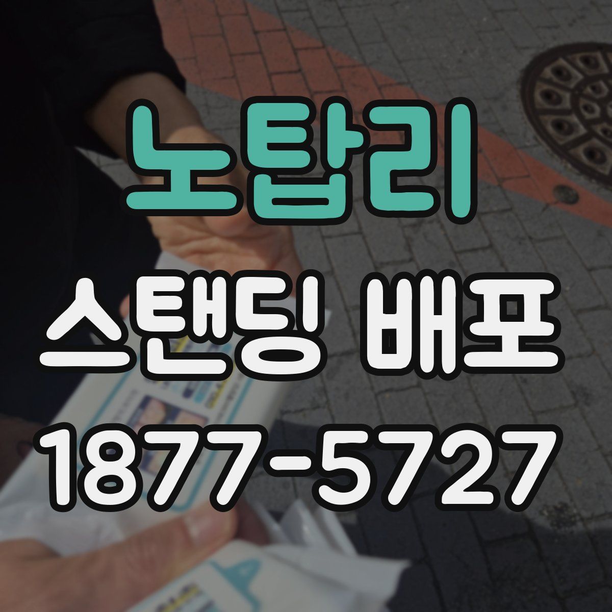 노탑리 스탠딩 배포