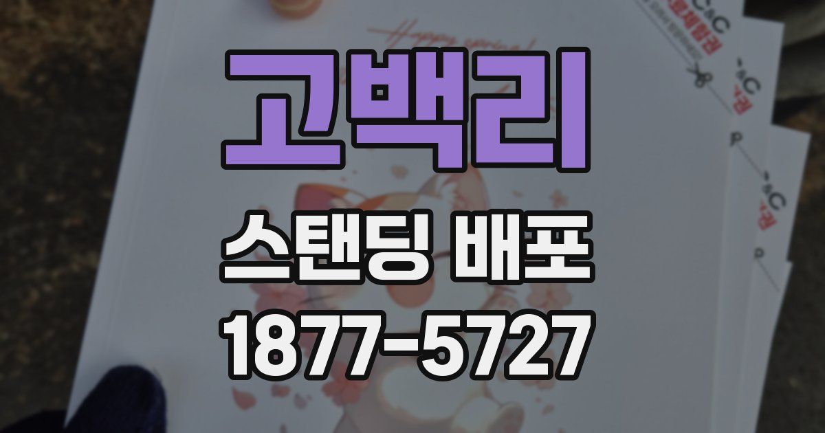 고백리 스탠딩 배포