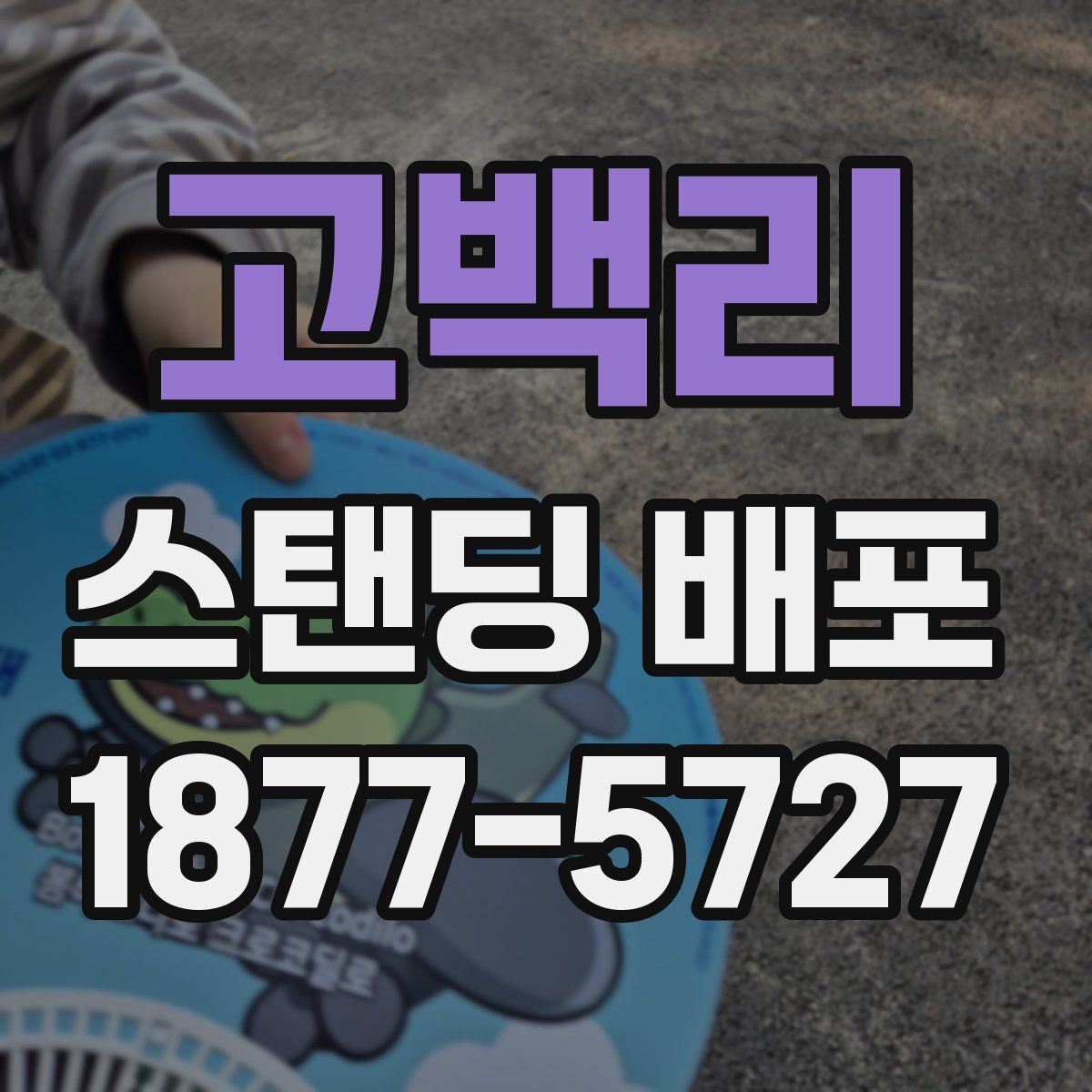 고백리 스탠딩 배포