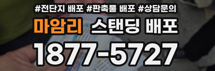 마암리 스탠딩 배포