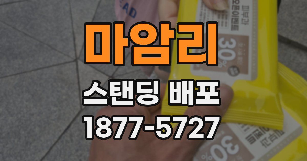 마암리 스탠딩 배포