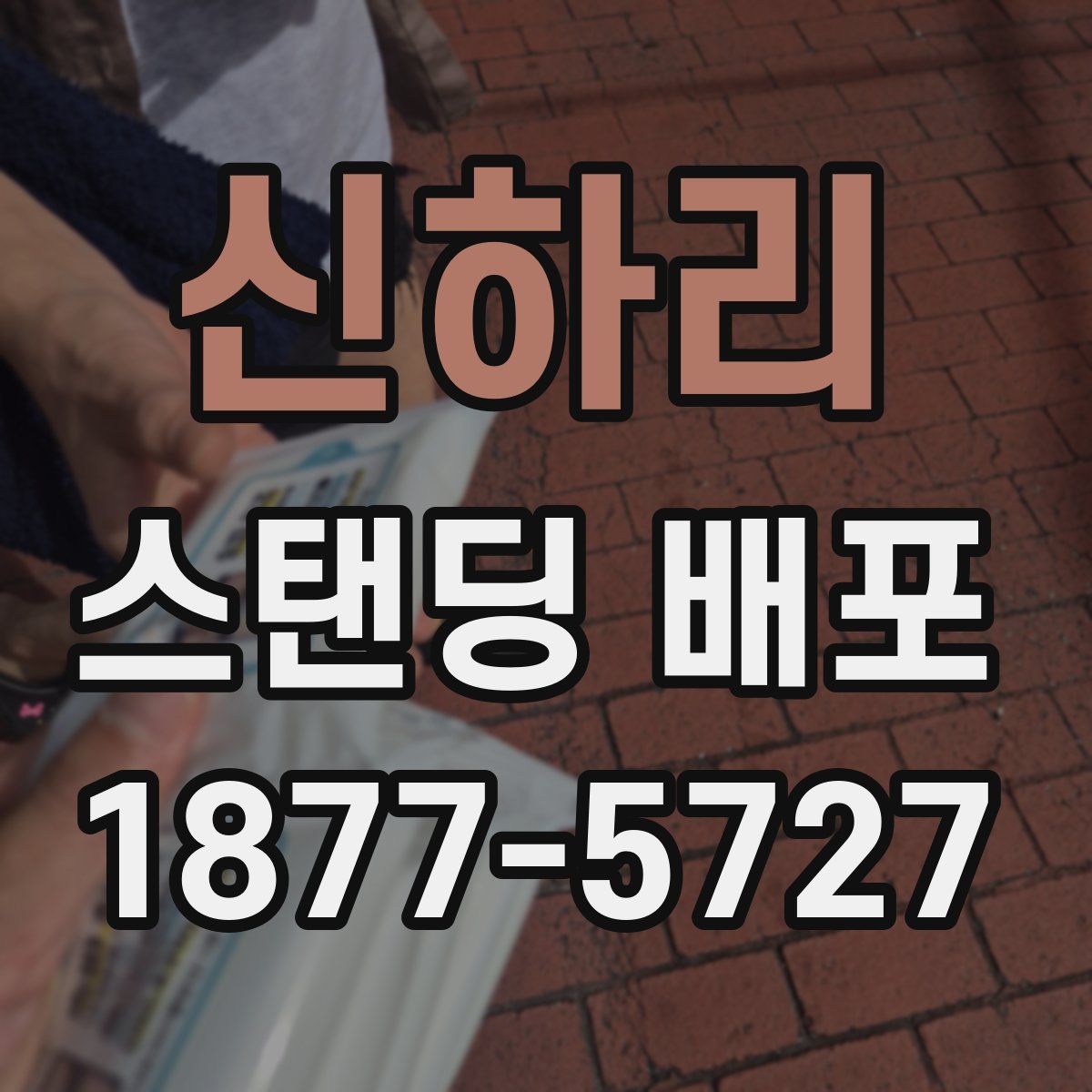신하리 스탠딩 배포