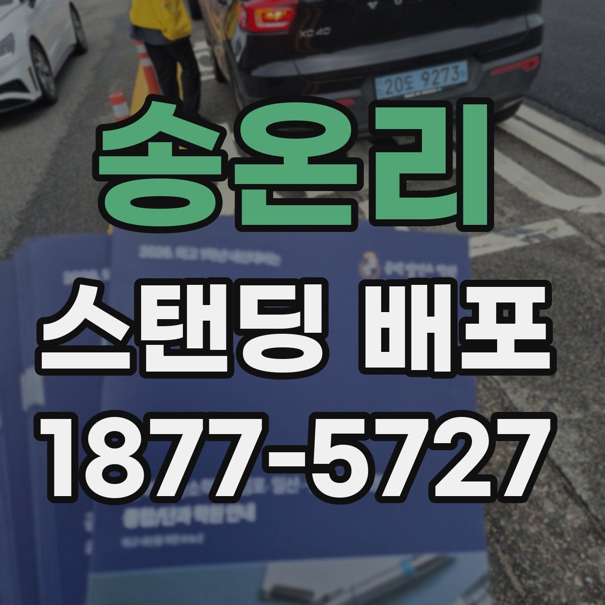 송온리 스탠딩 배포