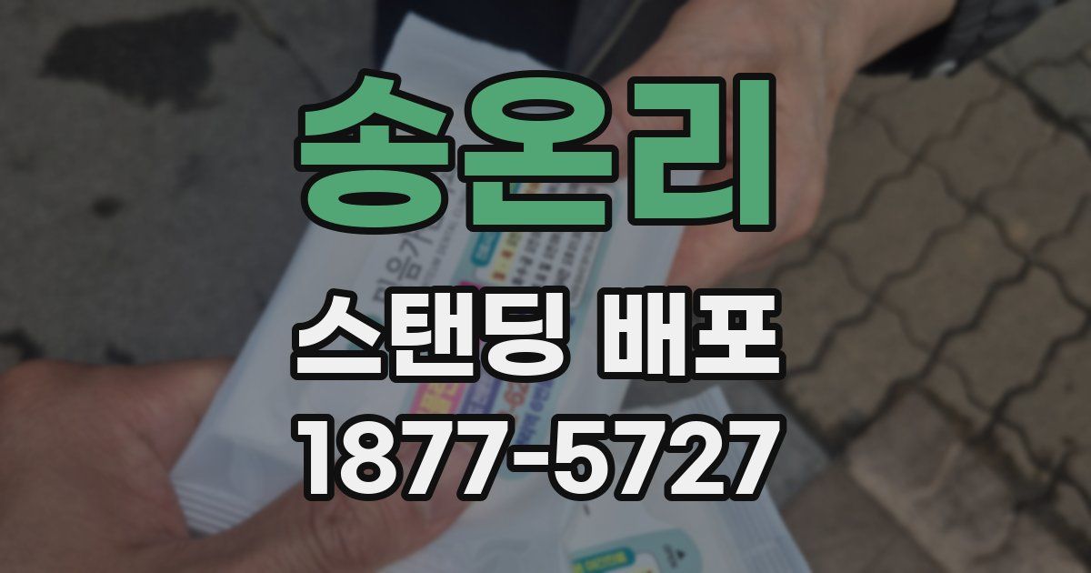 송온리 스탠딩 배포