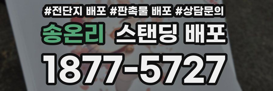 송온리 스탠딩 배포