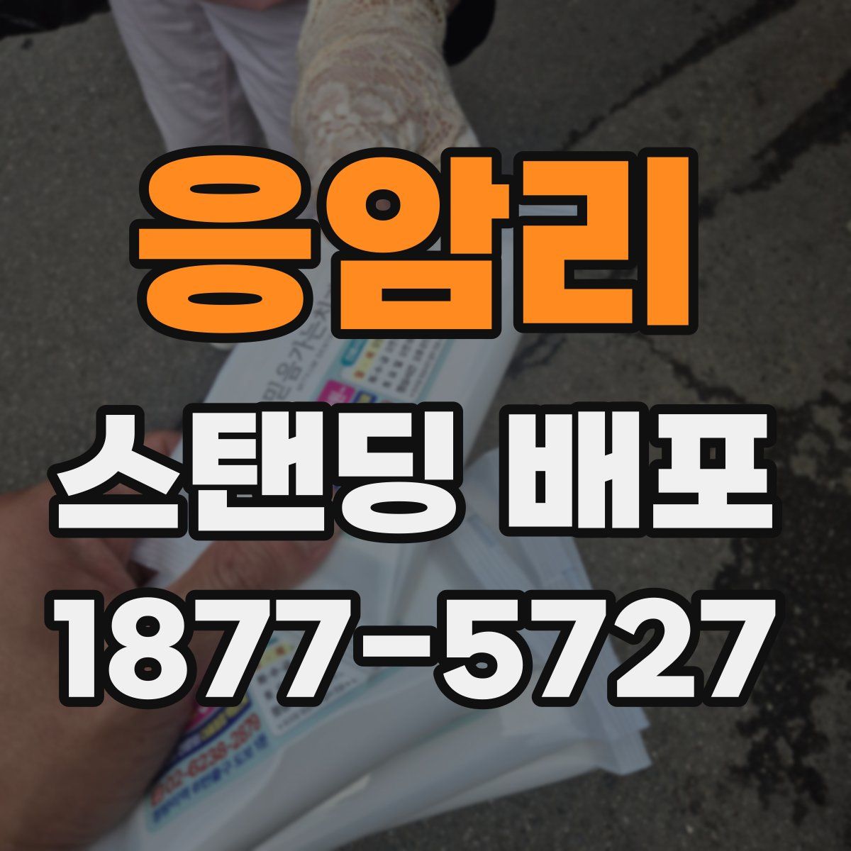 응암리 스탠딩 배포