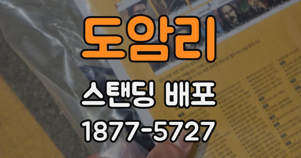 도암리 스탠딩 배포