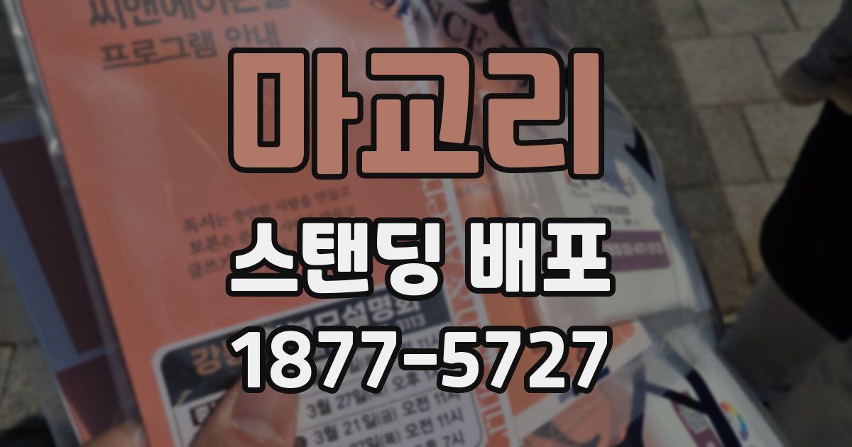 마교리 스탠딩 배포