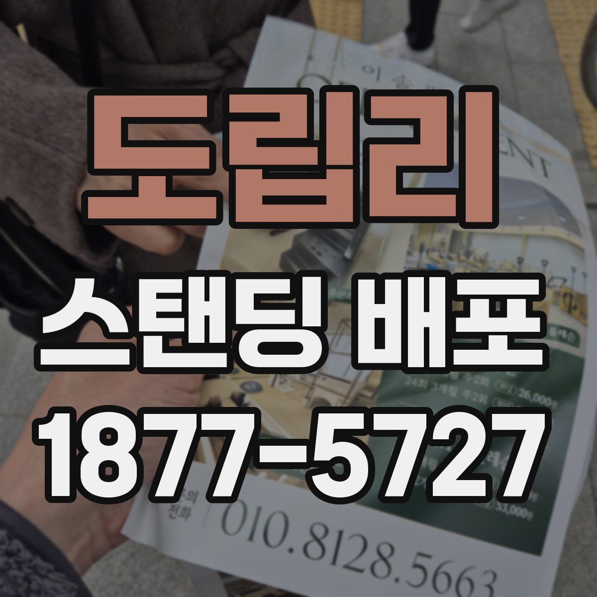 도립리 스탠딩 배포