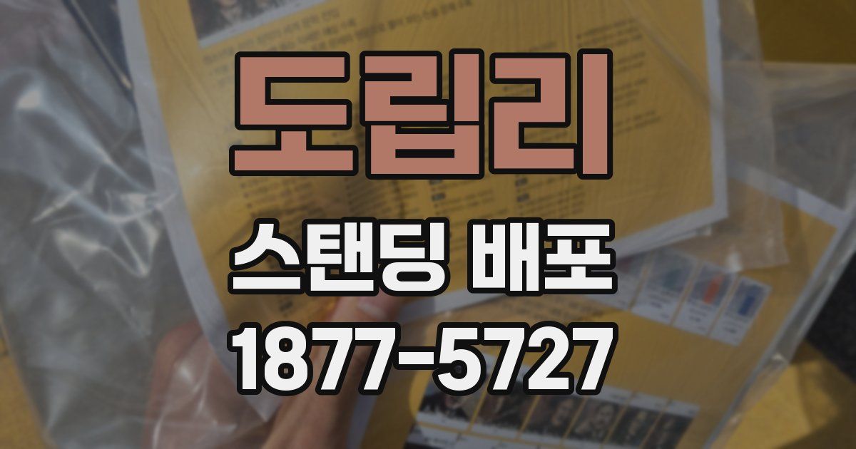 도립리 스탠딩 배포