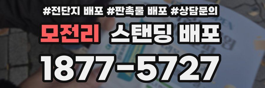 모전리 스탠딩 배포