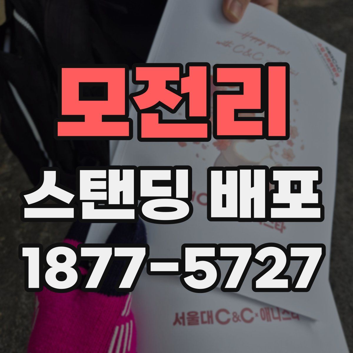 모전리 스탠딩 배포