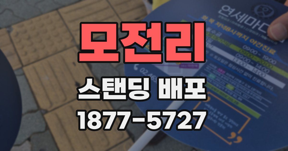 모전리 스탠딩 배포