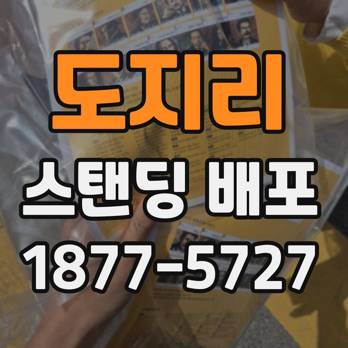 도지리 스탠딩 배포