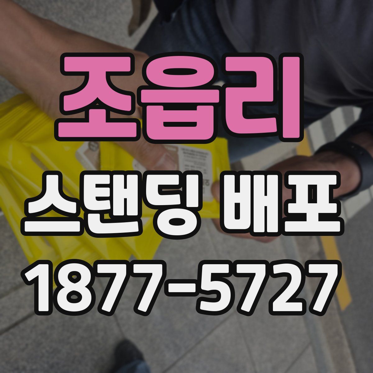 조읍리 스탠딩 배포