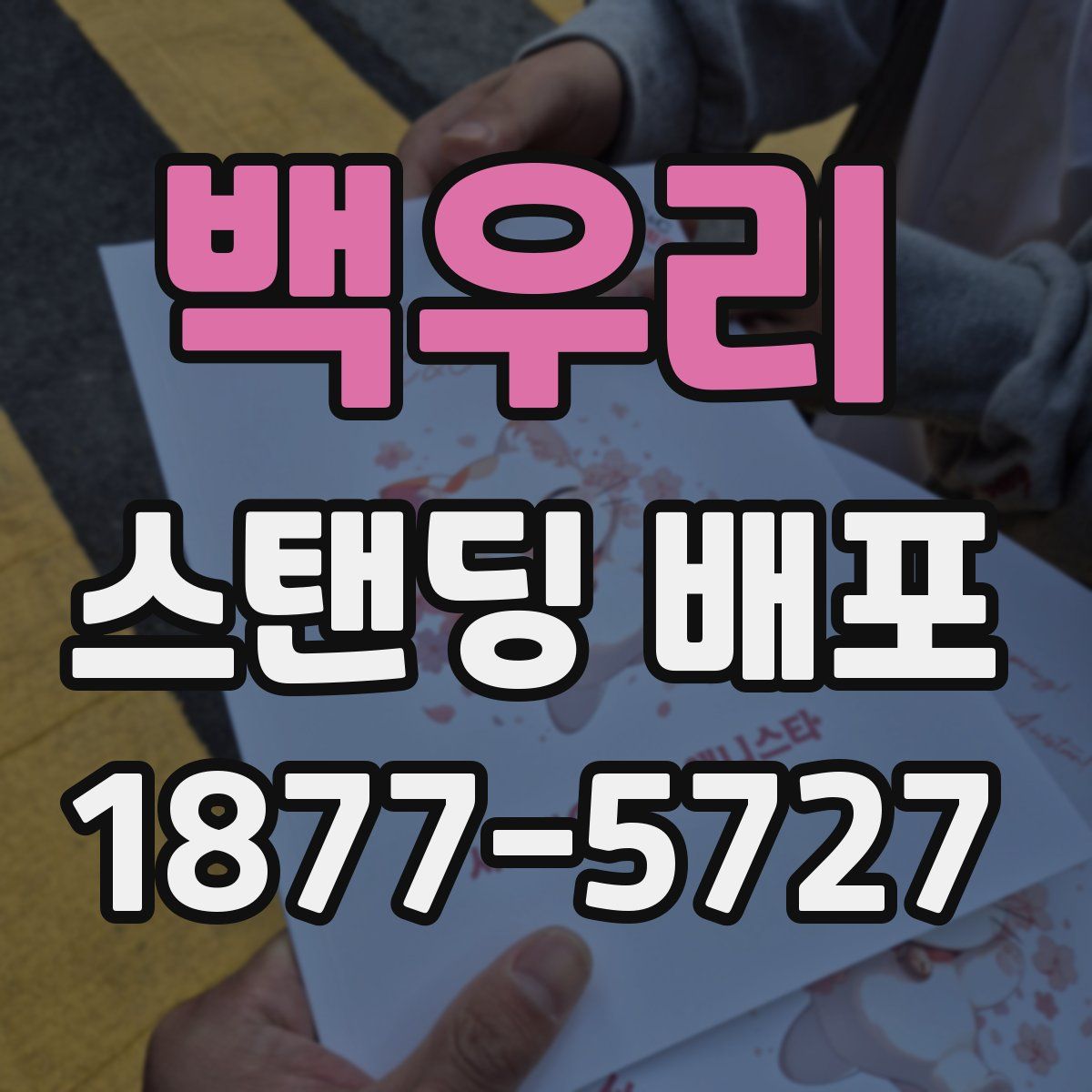 백우리 스탠딩 배포