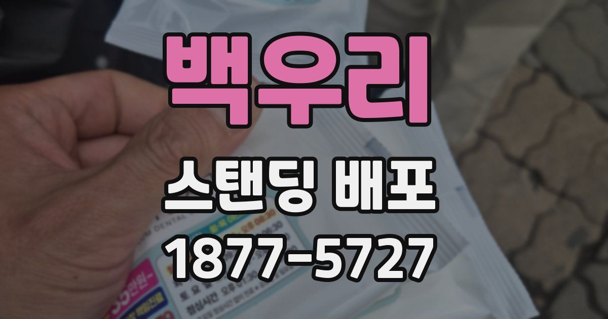 백우리 스탠딩 배포