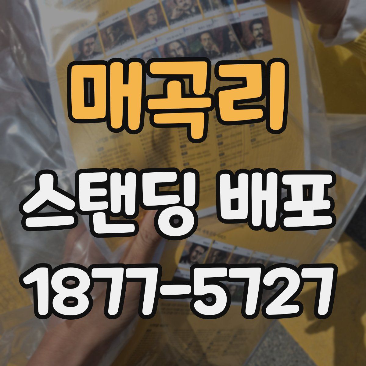 매곡리 스탠딩 배포