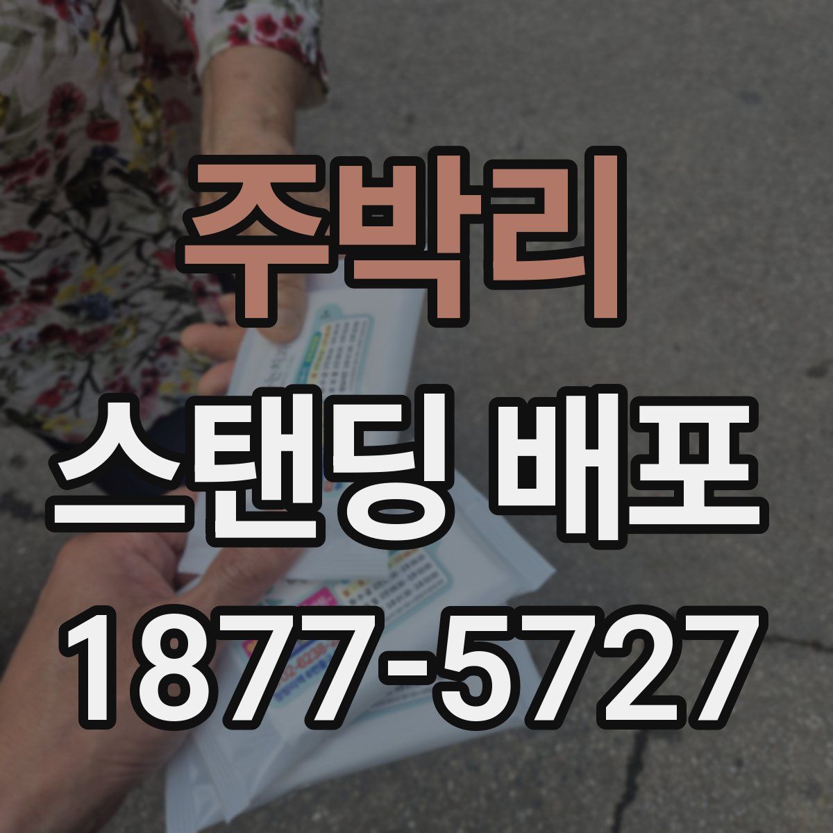 주박리 스탠딩 배포