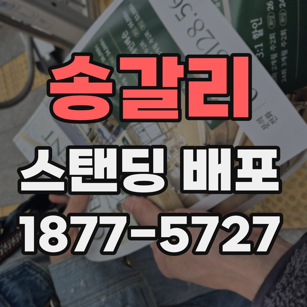 송갈리 스탠딩 배포