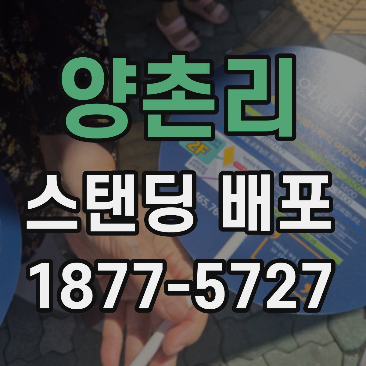 양촌리 스탠딩 배포