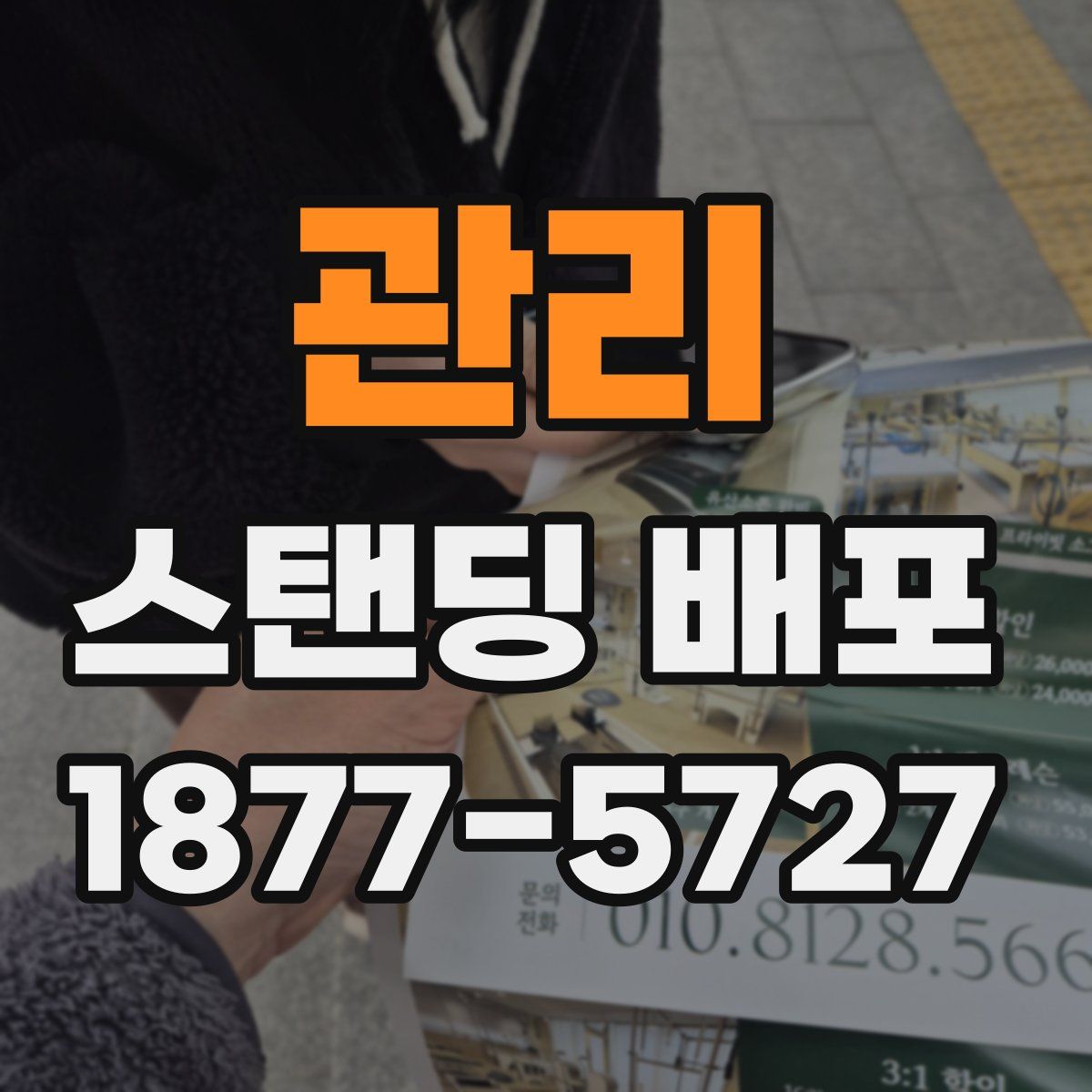 관리 스탠딩 배포