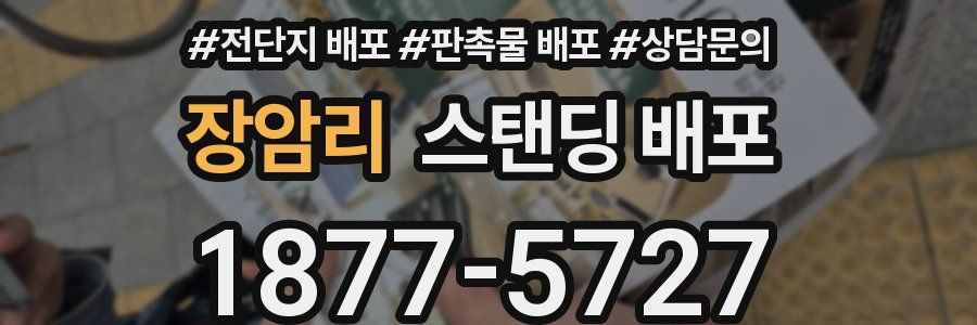 장암리 스탠딩 배포