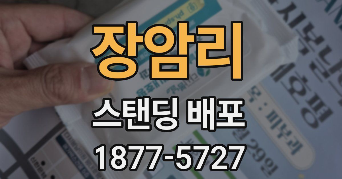 장암리 스탠딩 배포