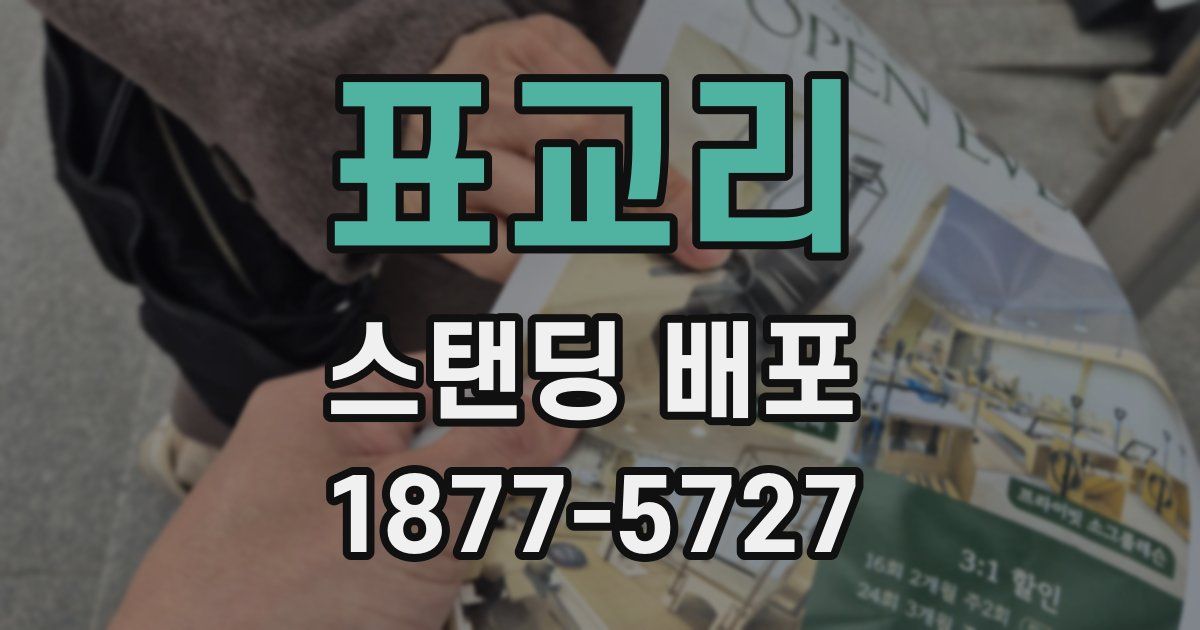 표교리 스탠딩 배포