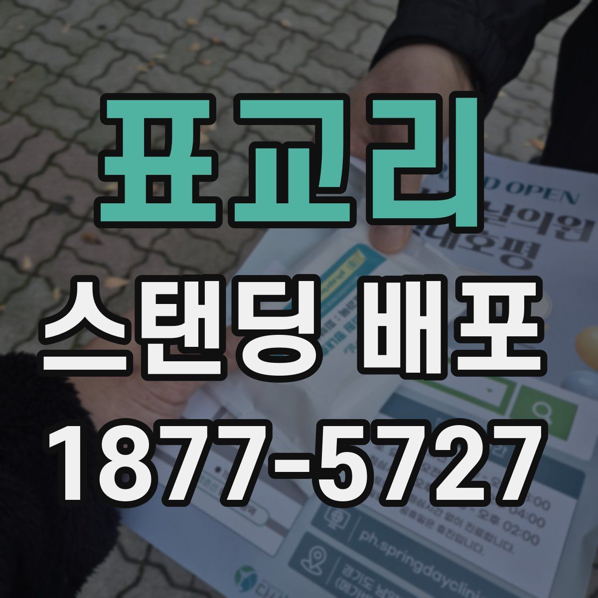 표교리 스탠딩 배포