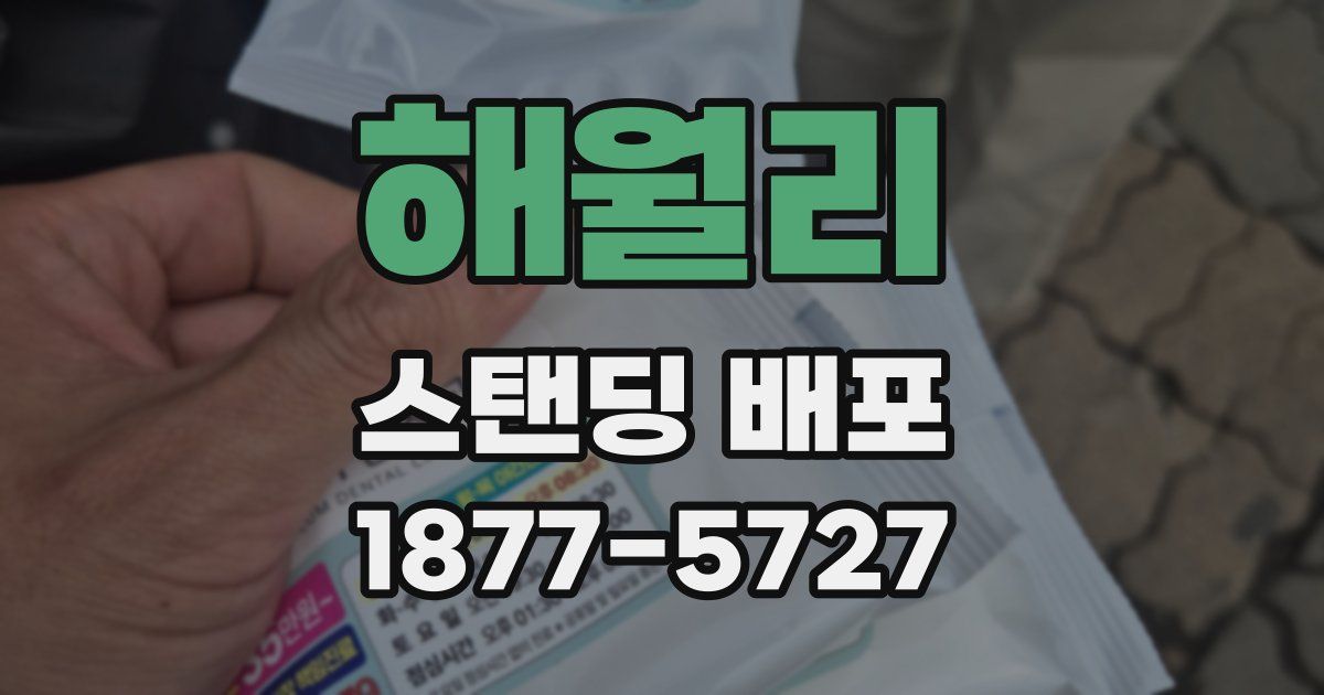해월리 스탠딩 배포