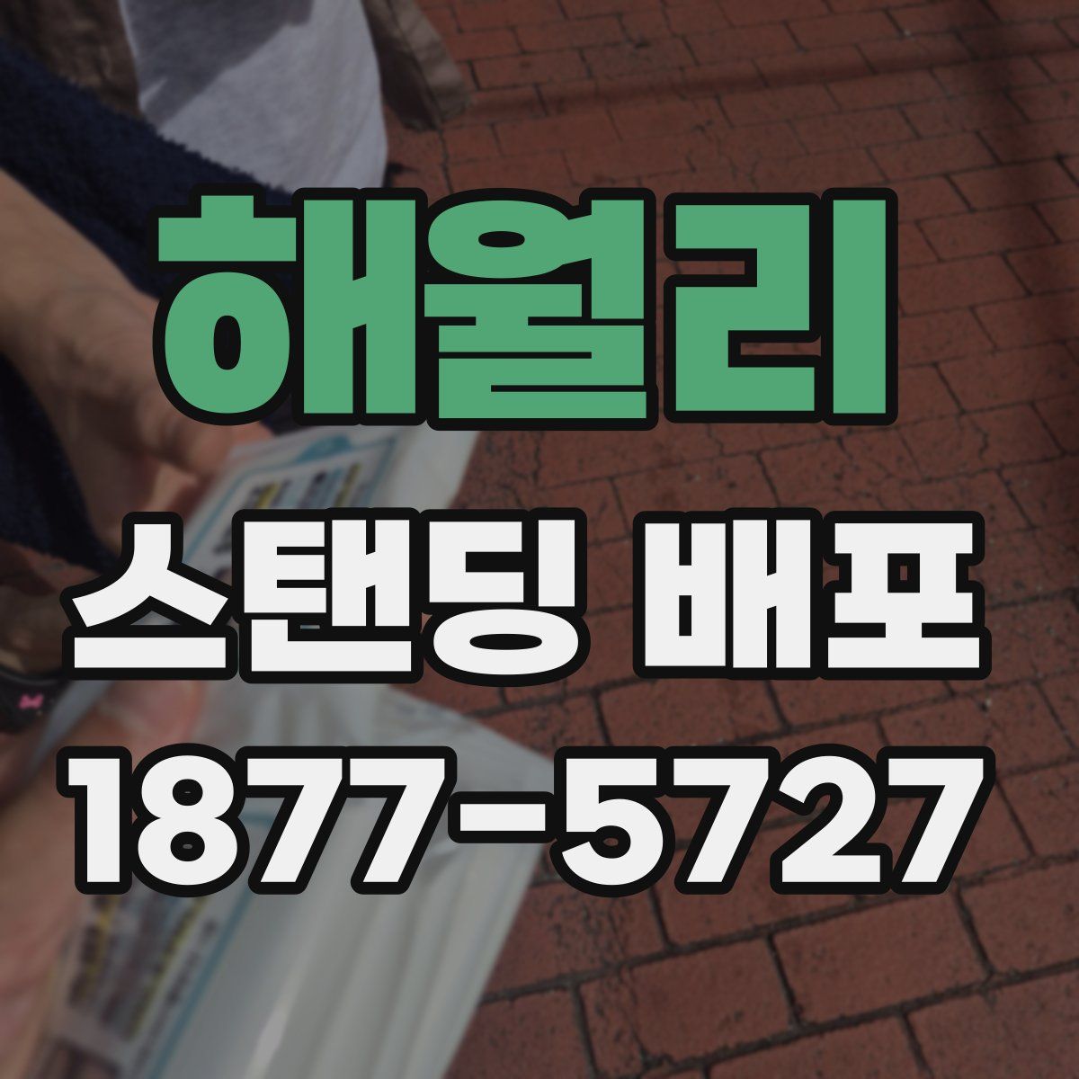 해월리 스탠딩 배포