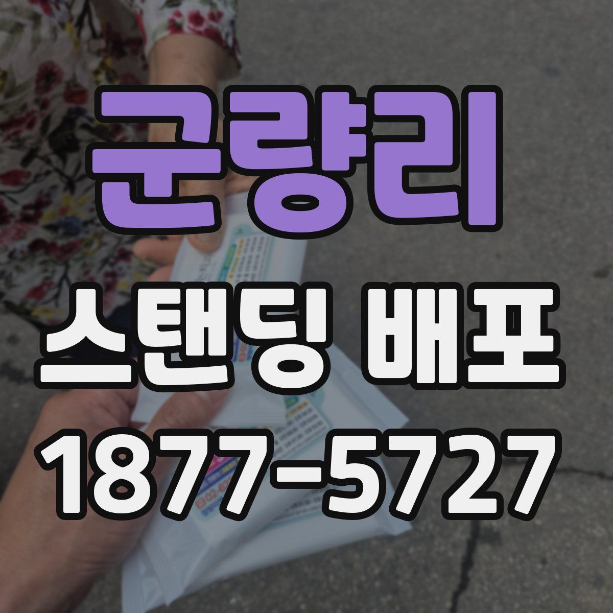 군량리 스탠딩 배포
