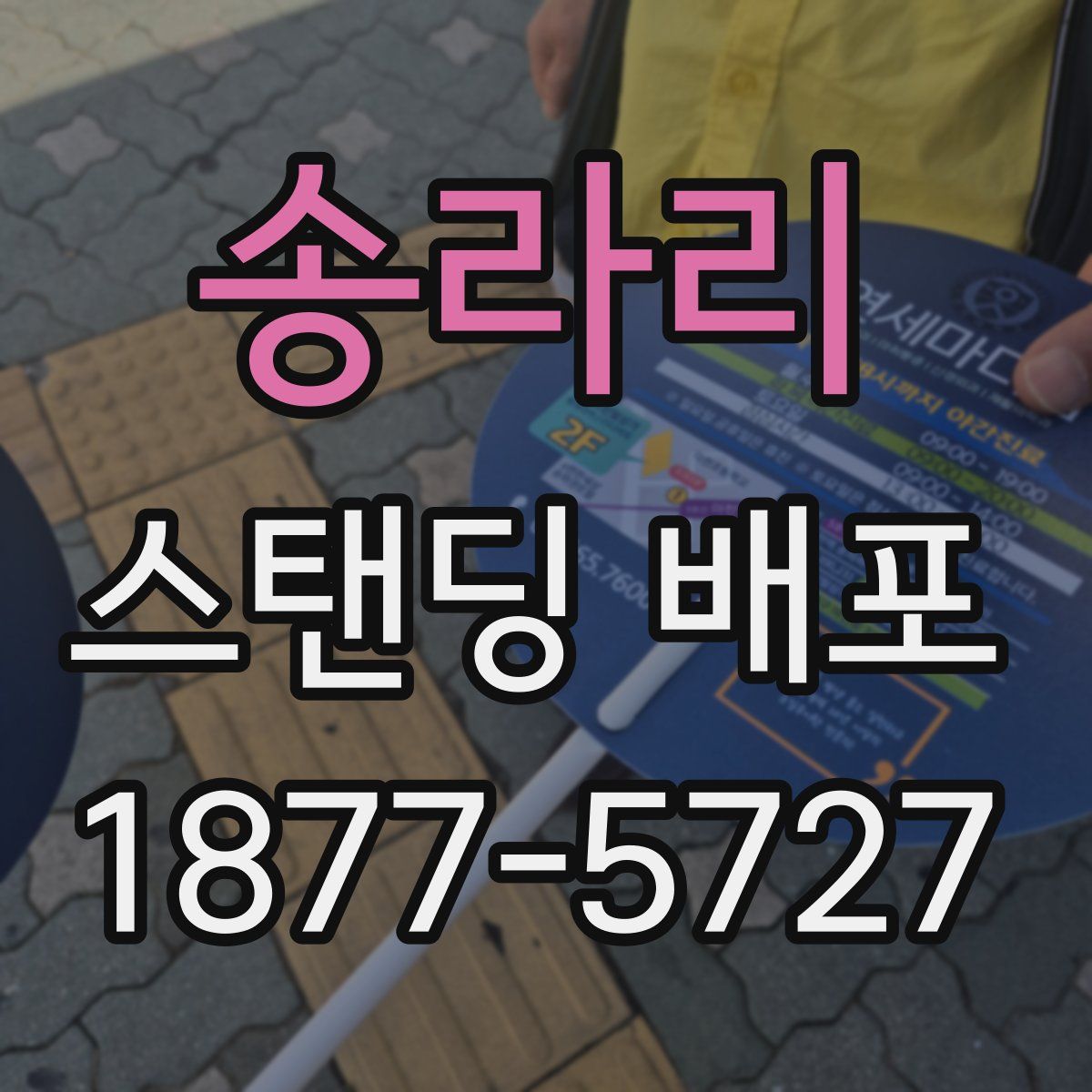 송라리 스탠딩 배포
