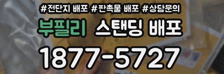 부필리 스탠딩 배포