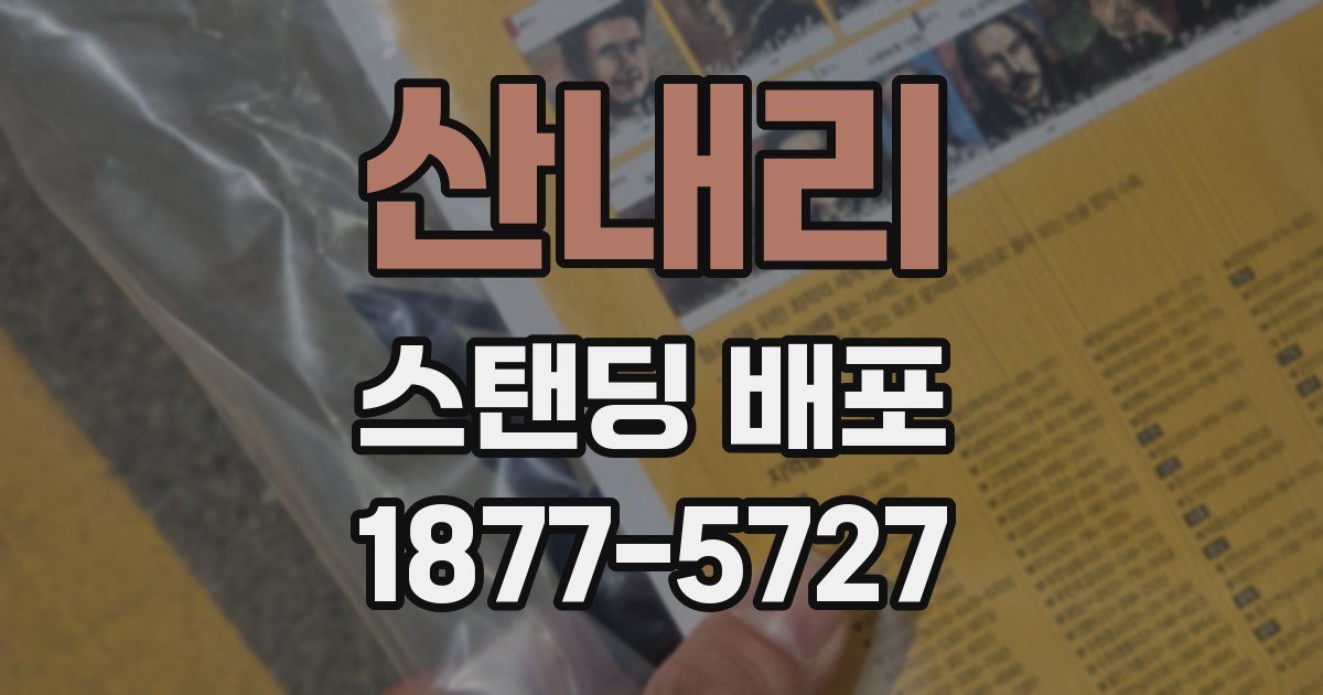 산내리 스탠딩 배포