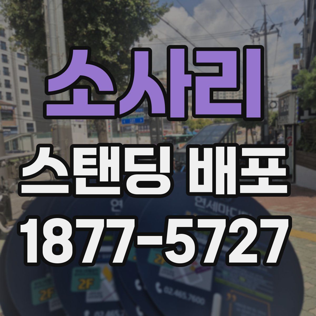 소사리 스탠딩 배포