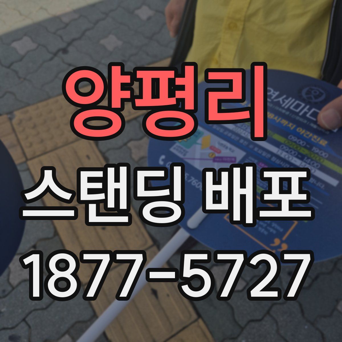 양평리 스탠딩 배포