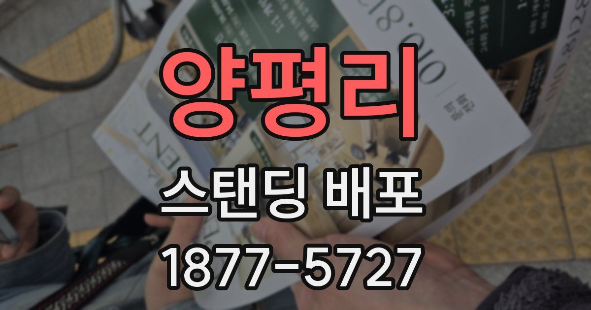 양평리 스탠딩 배포