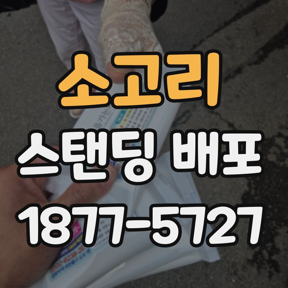 소고리 스탠딩 배포