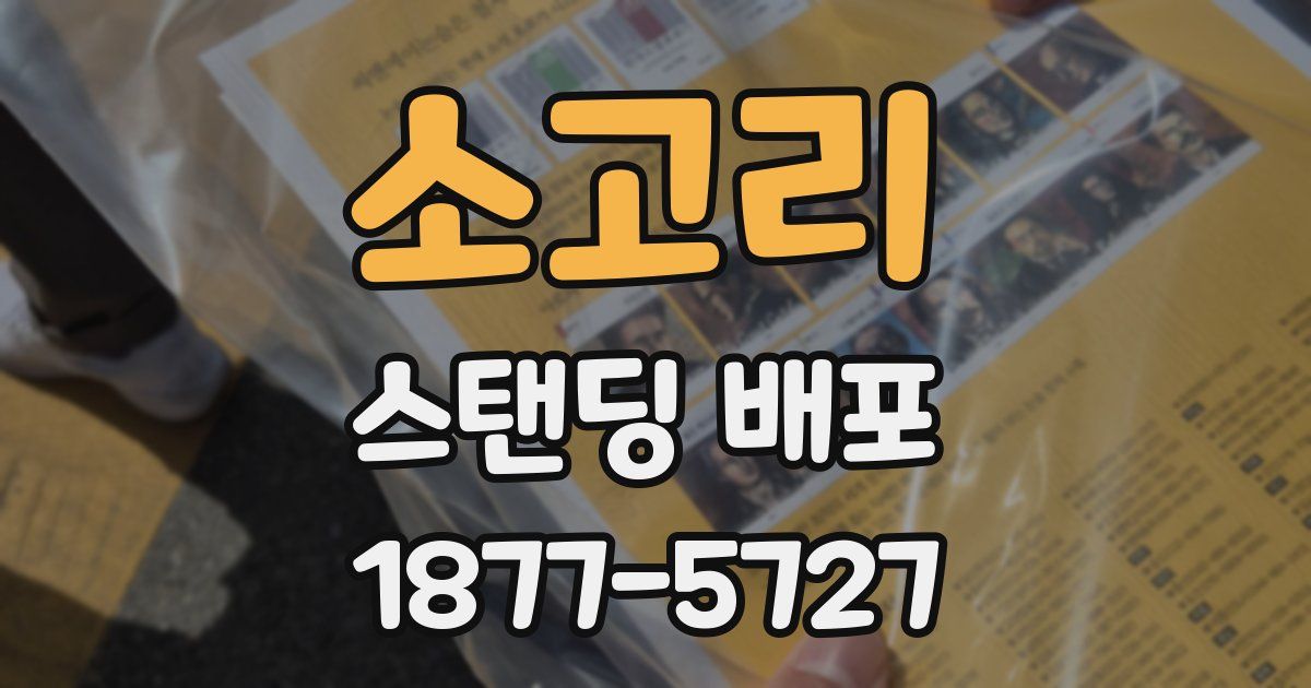 소고리 스탠딩 배포