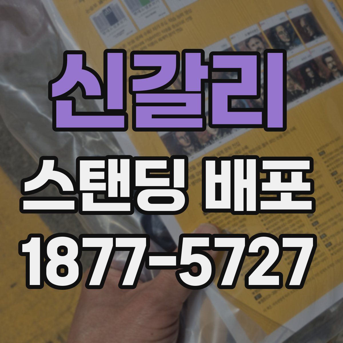 신갈리 스탠딩 배포